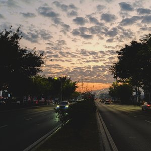 你会不会路过我的明天