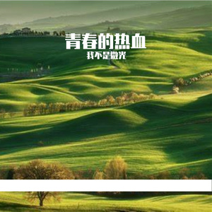 青春载梦想