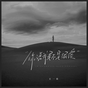 你说我是不是很傻