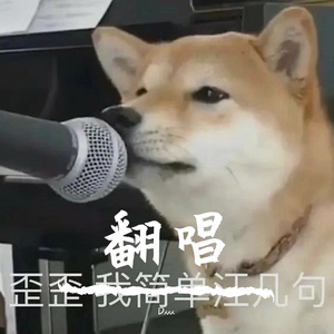 小星星（片段）