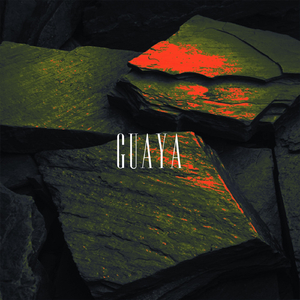 Guaya (feat. Stains, Osiris229 & Goldent Morth)