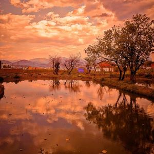 姑娘在远方（降调降速）