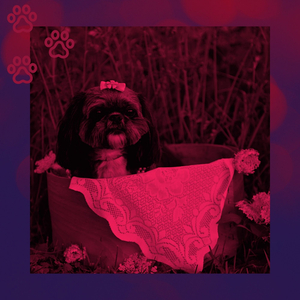 Vintage Music for Moods