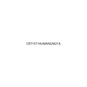 humanum21a