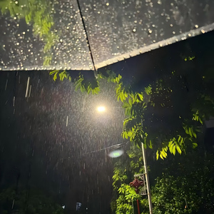 病态的爱（换不得永恒）