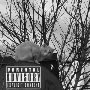 Знакомы незаконно