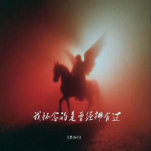 我怀念的是曾经拥有过