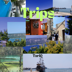 Trips
