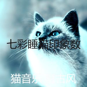有趣睡猫情怀