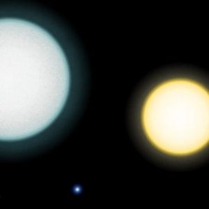 今天，给你读什么诗呢