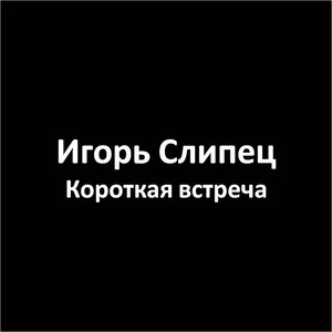 Короткая встреча