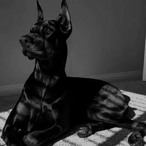 coco One Two vs Leaves(ANJIE Mashup)