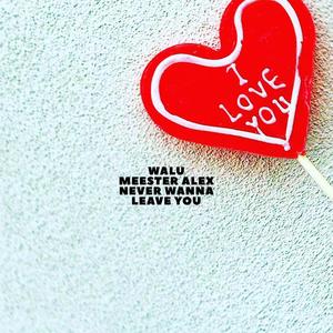 Never Wanna Leave You (feat. Meester Alex)
