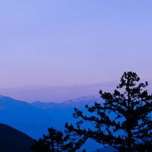 深海光影