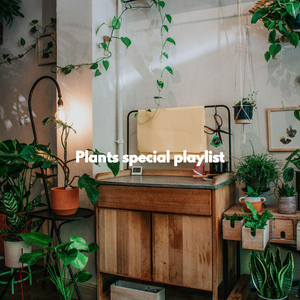 Atmospheric Reading Moves