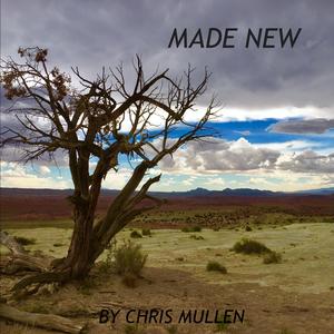 Made New
