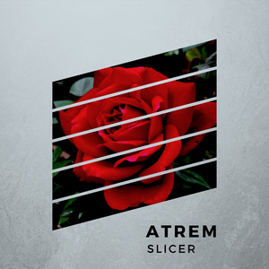 Slicer