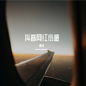 六哲-抖音 - 六哲 - 毕竟深爱过 - 朝伟Bootleg（朝伟 remix）