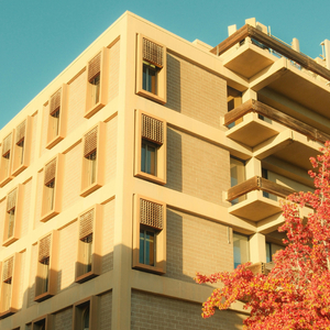 The duke of broken hearts