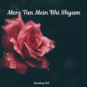 Mere Tan Mein Bhi Shyam
