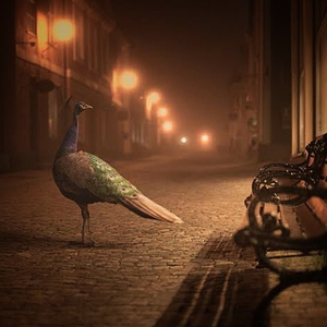 This song is a prayer