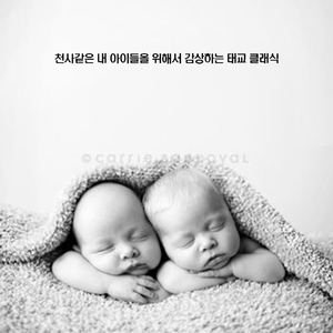 스카를라티 - 소나타 라장조 310