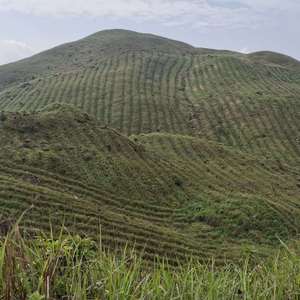 天空之城国人口琴纯音乐