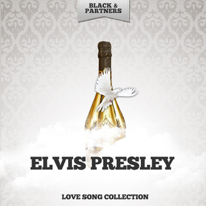 Can T Help Falling in Love (Original Mix)