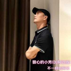 狠心的小芳(DJ版)