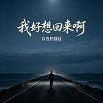 我好想回来啊 - 好好好 专辑封面