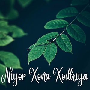 Niyor Xona Xodhiya