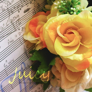 이해할 수 없는 사랑