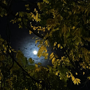 旧情人，我是时间的新欢