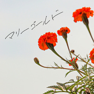 マリーゴールド (ウクレレ弾き語り)