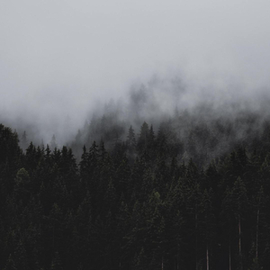 都会走的无一例外•