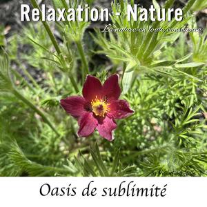 Oasis de sublimité
