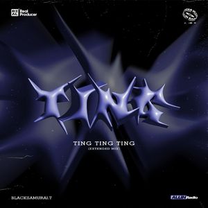 黑武士,All IN Radio-Ting Ting Ting(Extended Mix）