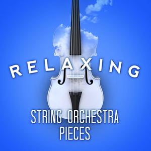 A Midsummer Night's Dream, Incidental Music, Op. 61: Nocturne