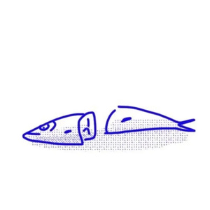 沉默