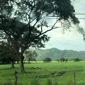 How Come (feat. Zoe Infante)