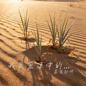 我是荒漠中的草