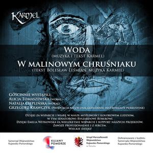 W malinowym chruśniaku