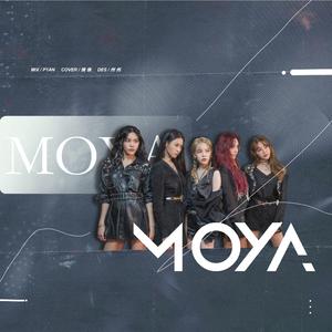 MOYA (모야)
