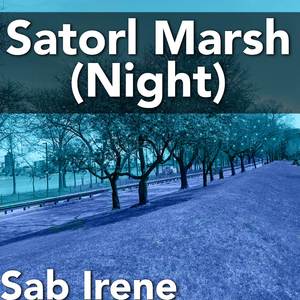 Satorl Marsh Night (From "Xenoblade Chronicles") (Cover Version)