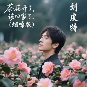 茶花开了，该回家了（烟嗓版）