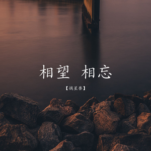 相望，相忘