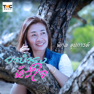 ยาบำรุงหัวใจ