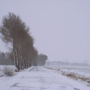 遇见你我是幸运的（BGM版）