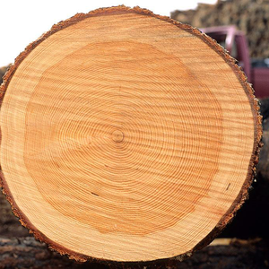 溪（翻自 沈以诚）