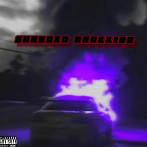 Sameold Reallife (世界末日)remix